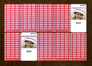 goosie%20cards%20memory%20game.jpg
