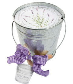 Gardening Week: Mini Lavender Garden