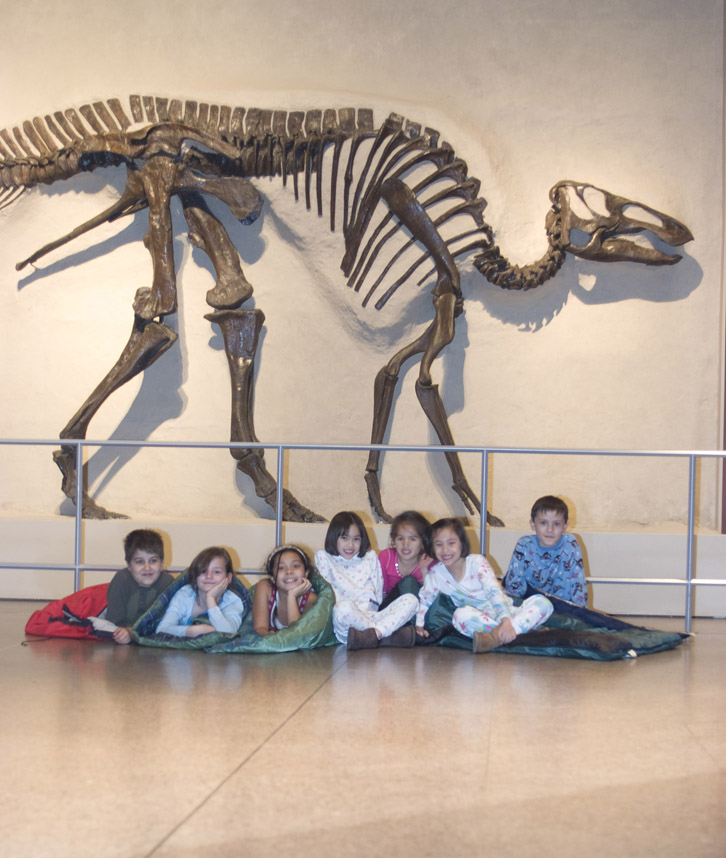 toronto_museum_sleepover.jpg