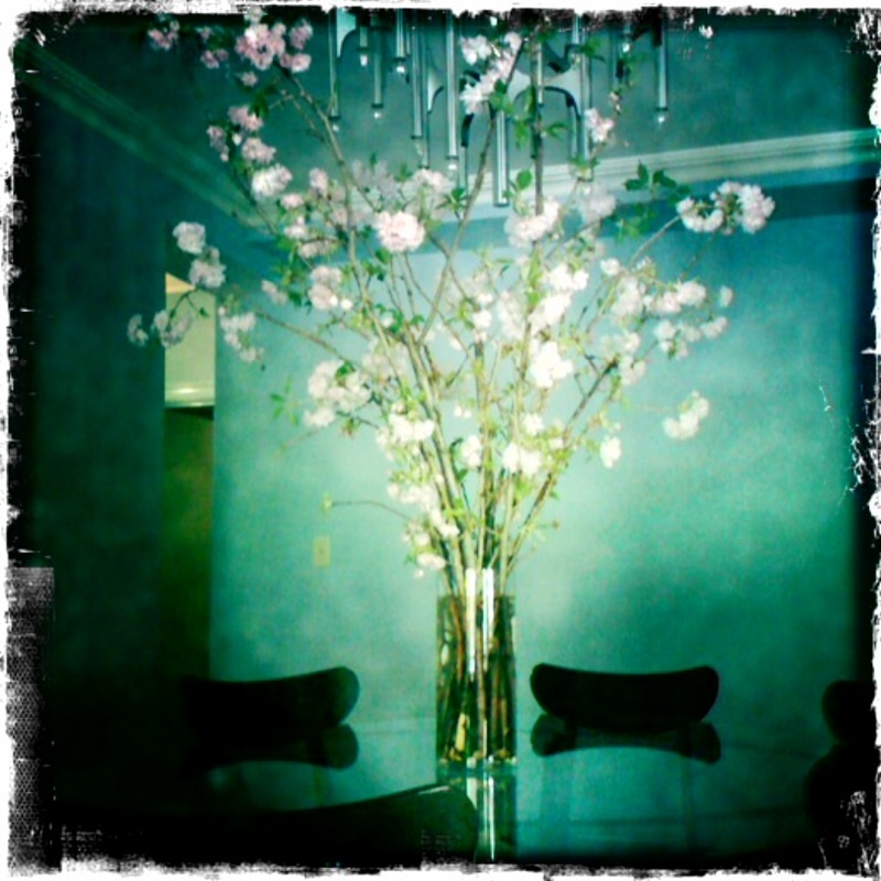 cherry_blossom_tree_home.jpg