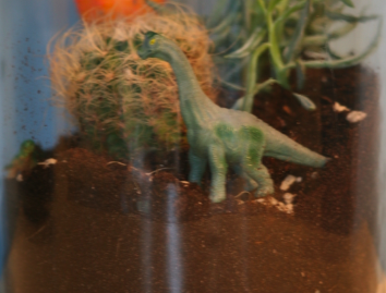how_to_make_a_terrarium_2.png