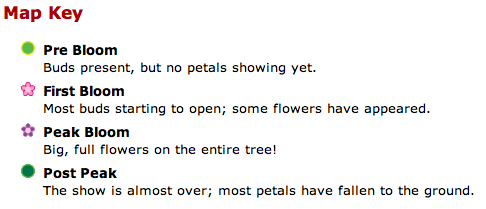 lastweekend_brooklyn_botanic_key.png