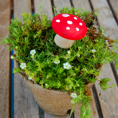 holiday_toadstools.png
