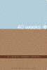40+weeks.gif