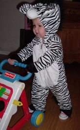 ZebraPaula.jpg