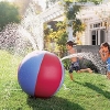 beachballsprinkler.jpg