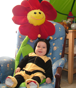 bumblebeeSuzyn.JPG