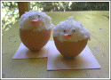 chick4.gif