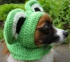 frogdoghat.jpg