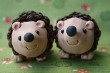 myra_hedgehog_08.jpg