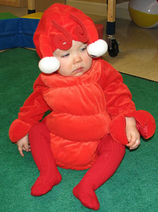 zootslobsterbaby.jpg