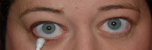 Blending%20copy.jpg