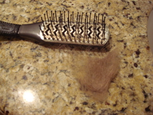 How To Clean a Hairbrush?