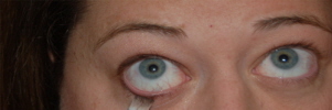 Lining%20Bottom%20Lid%20copy.jpg