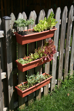 container-garden-1.jpg