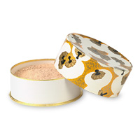 Keeping Makeup Safe On the Road