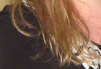 december%20132a.jpg