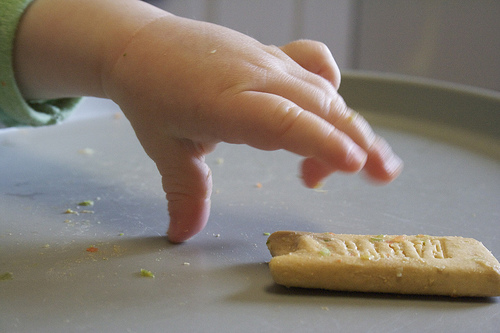 Beyond the Cereal Box: Wholesome Finger Foods For Babies